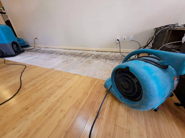 Professional Water Removal technician working in Plainview, NY